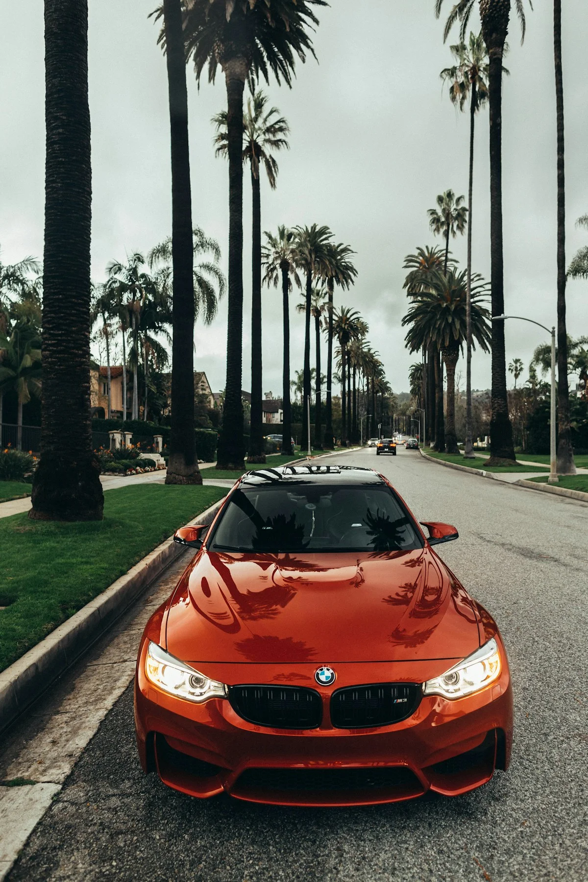 Car listed for rent with Drevo Wheels
